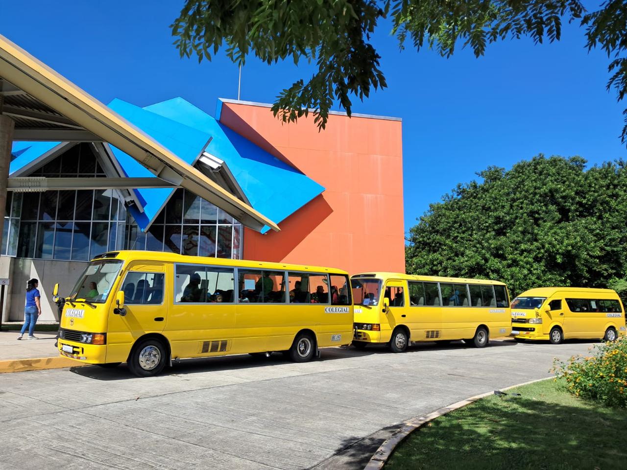 Buses escolares amarillos de Tule Express frente a un edificio de techo azul