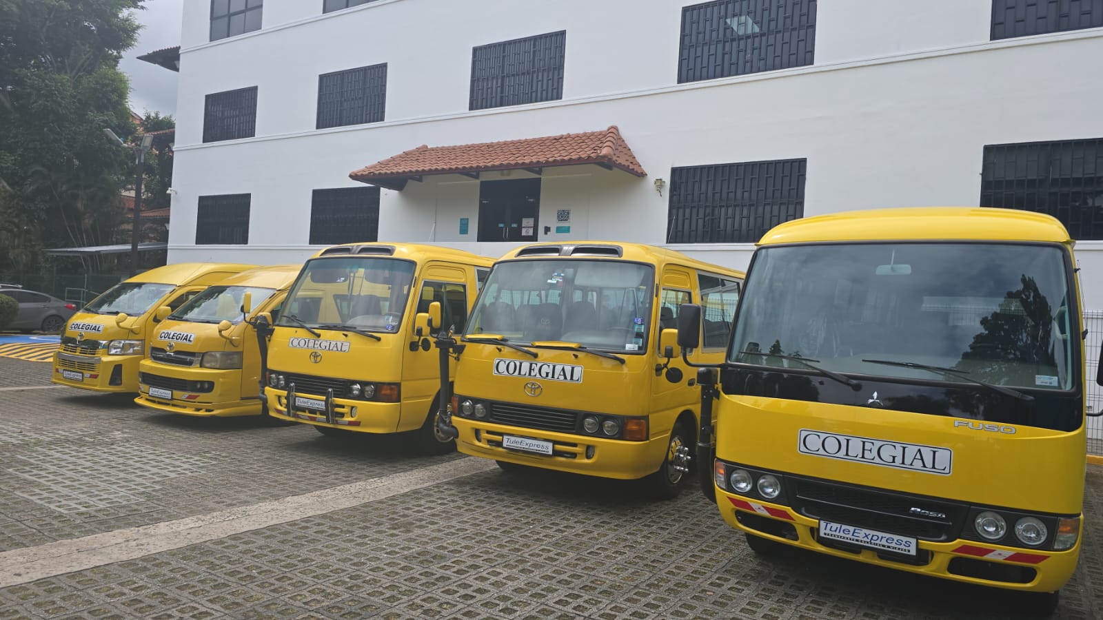 Flota de buses amarillos de Tule Express alineados frente a un edificio blanco